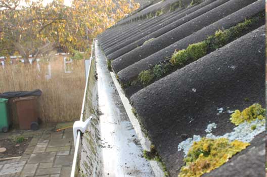 Divine Shine Gutter Cleaning