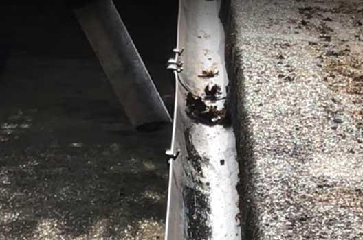 gutter cleaning
